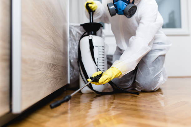 Best Bed Bug Extermination  in Swainsboro, GA