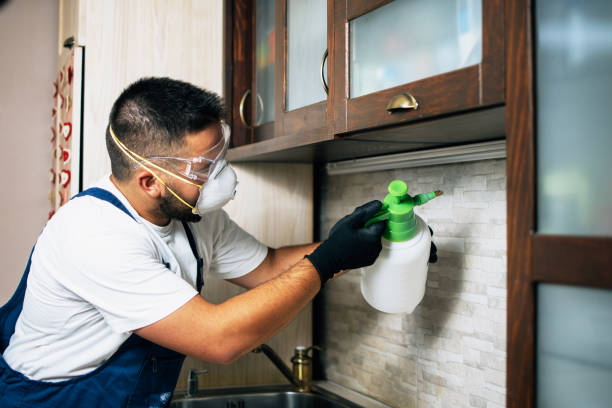 Insect Control in Swainsboro, GA