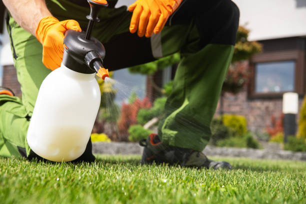 Best Wasp Removal Services  in Swainsboro, GA