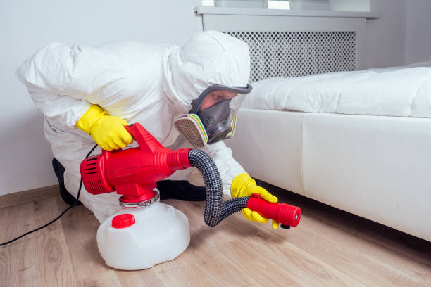 Best Mosquito Control Services  in Swainsboro, GA