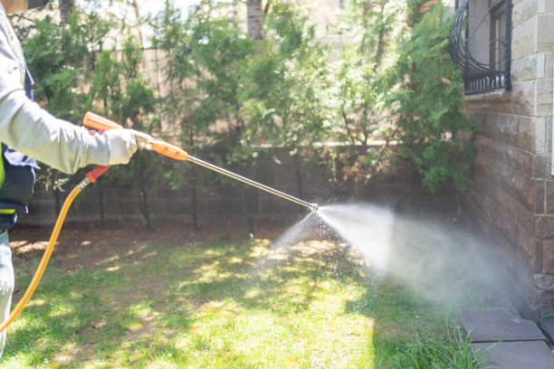 Best Emergency Pest Control  in Swainsboro, GA