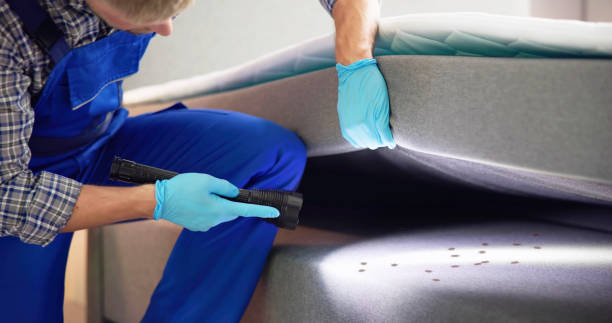 Best Best Pest Control Companies  in Swainsboro, GA