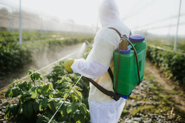 Best Commercial Pest Control Services  in Swainsboro, GA